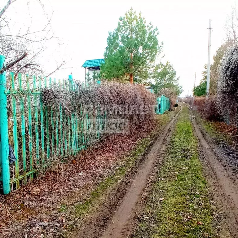 Дом в Волгоград, СНТ Рябинушка (20 м) - Фото 0