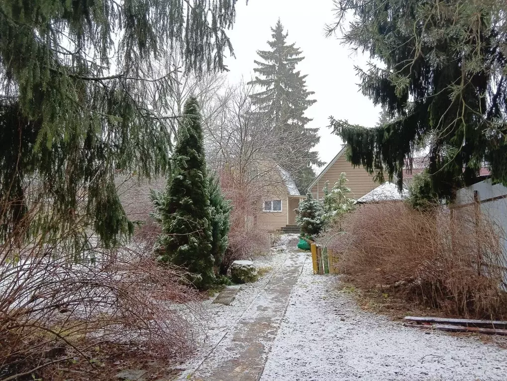 Участок в Москва д. Давыдково, Электроника СНТ, 6 (8.0 сот.) - Фото 1