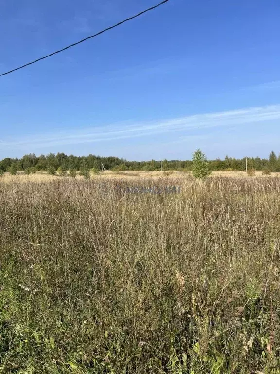 Участок в Нижегородская область, Богородский муниципальный округ, с. ... - Фото 0