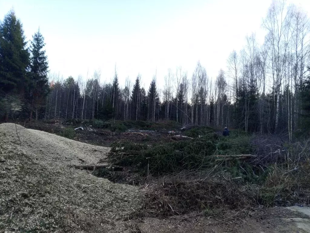 Участок в Московская область, городской округ Клин, СНТ Электрощит, ... - Фото 0