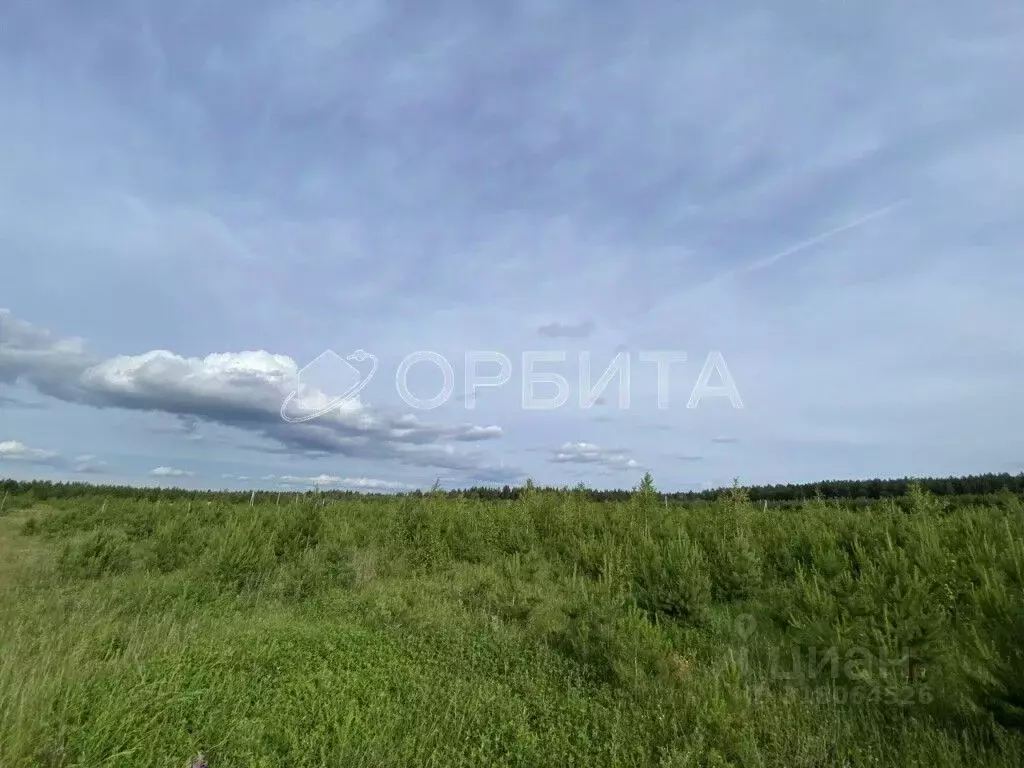 Участок в Свердловская область, Тугулым пгт  (16.0 сот.) - Фото 0