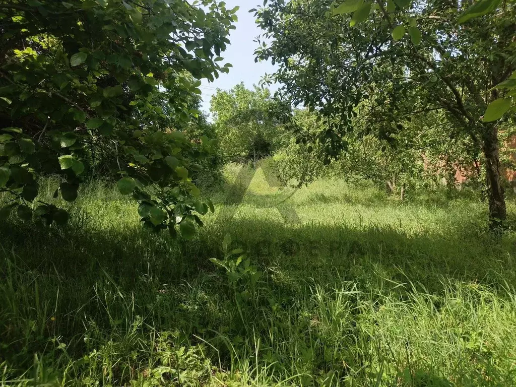 Участок в Краснодарский край, Туапсинский муниципальный округ, Джубга ... - Фото 2