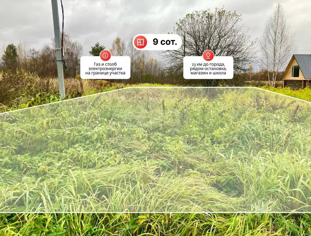 Участок в Костромская область, Нерехтский район, Воскресенское с/пос, ... - Фото 1