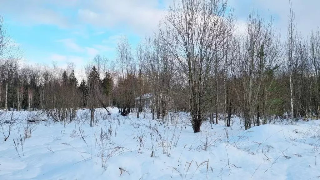 Участок в Московская область, Пушкинский городской округ, д. Могильцы, ... - Фото 1