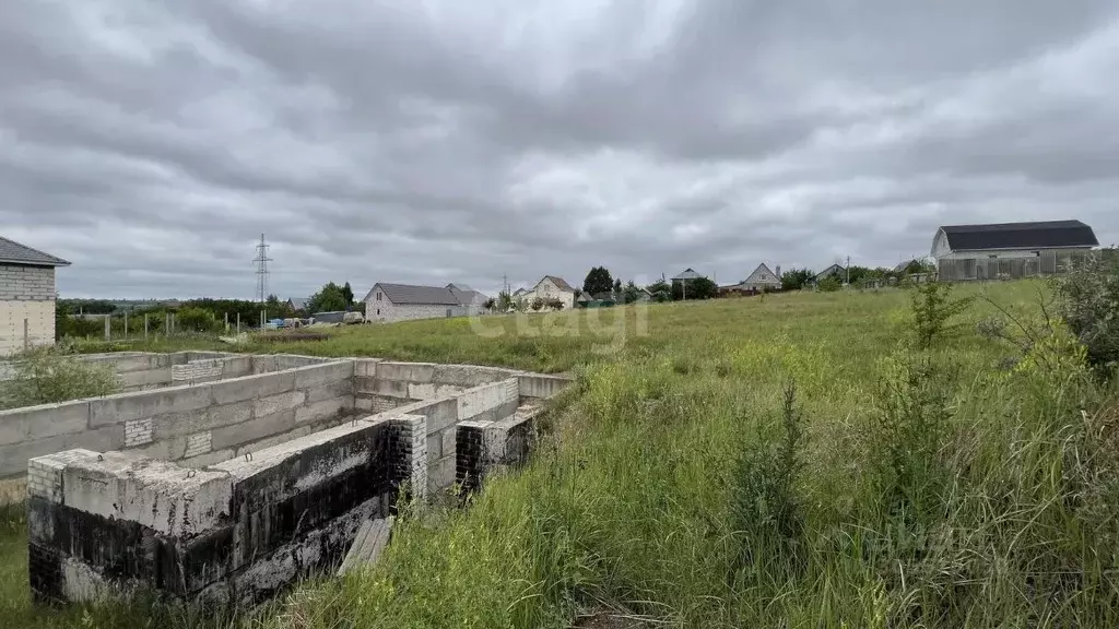 Участок в Воронежская область, Семилукский район, с. Девица ул. ... - Фото 1