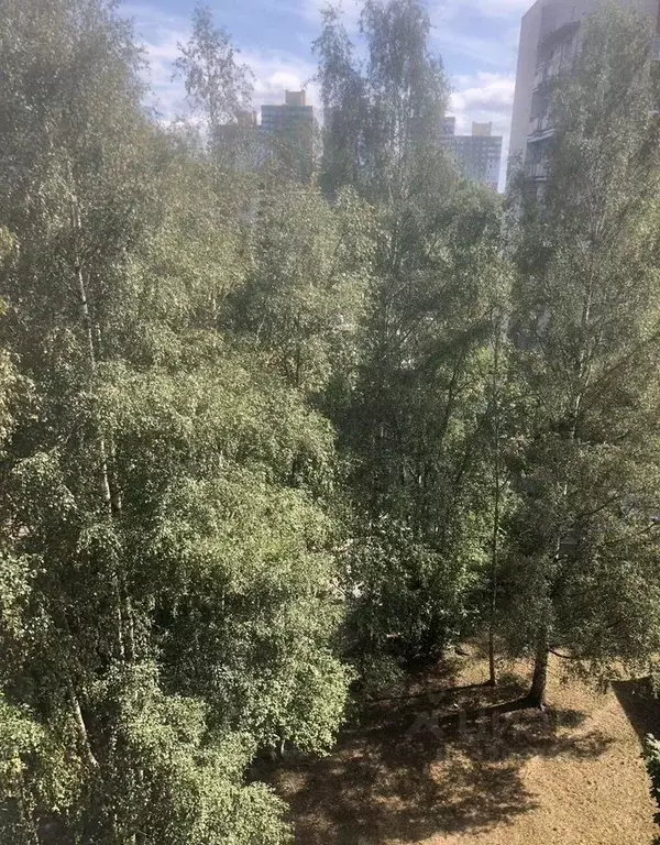 Комната Ленинградская область, Сосновый Бор ул. Красных Фортов, 13 - Фото 1