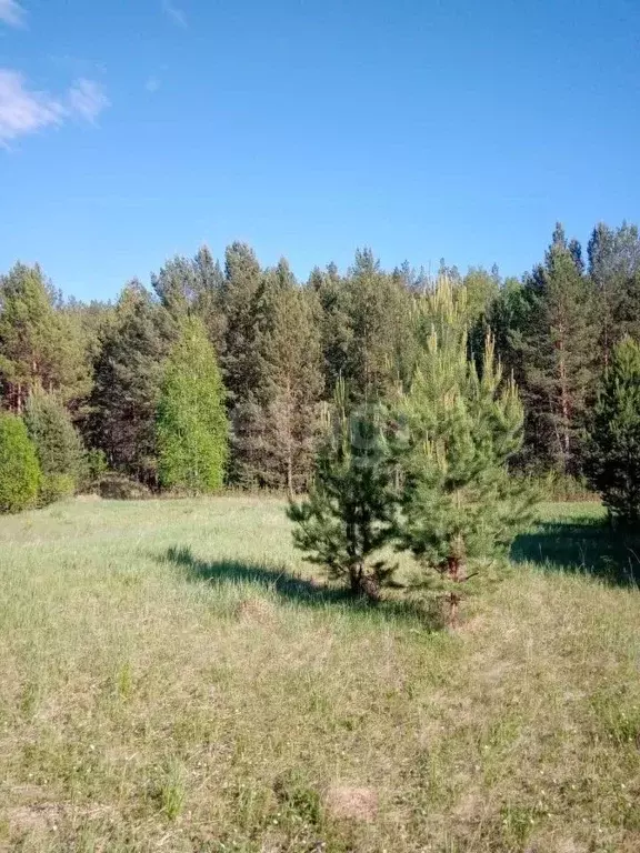 Участок в Свердловская область, Белоярский городской округ, с. ... - Фото 1