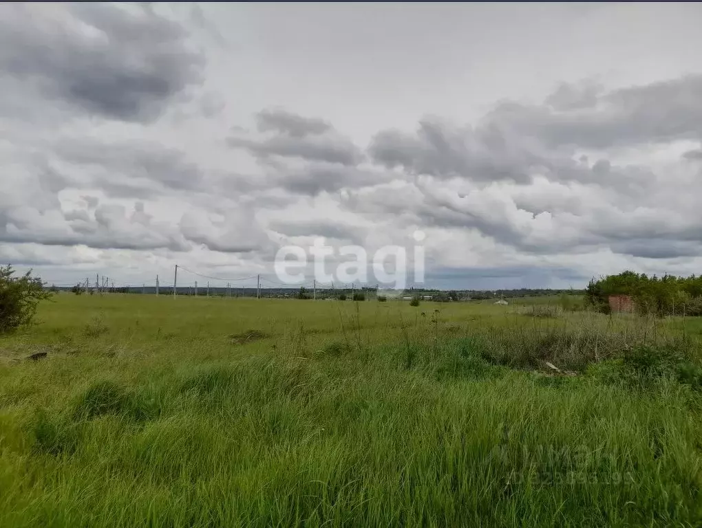 Участок в Саратовская область, Балашовский район, Хоперское ... - Фото 1