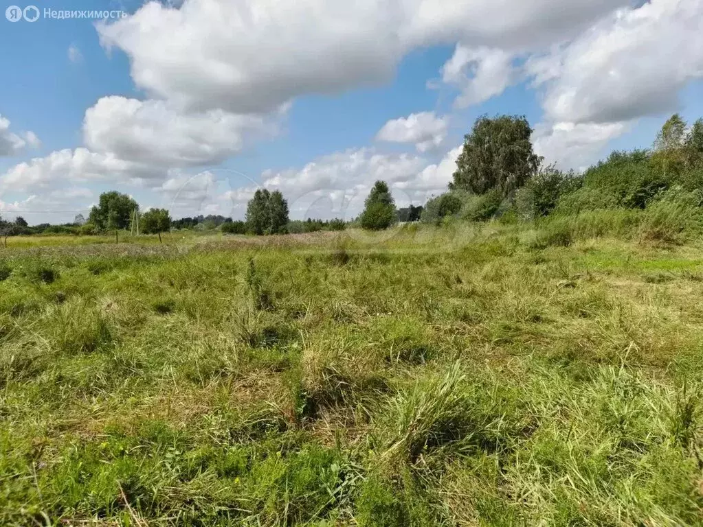 Участок в Курганская область, село Кетово (10 м) - Фото 1