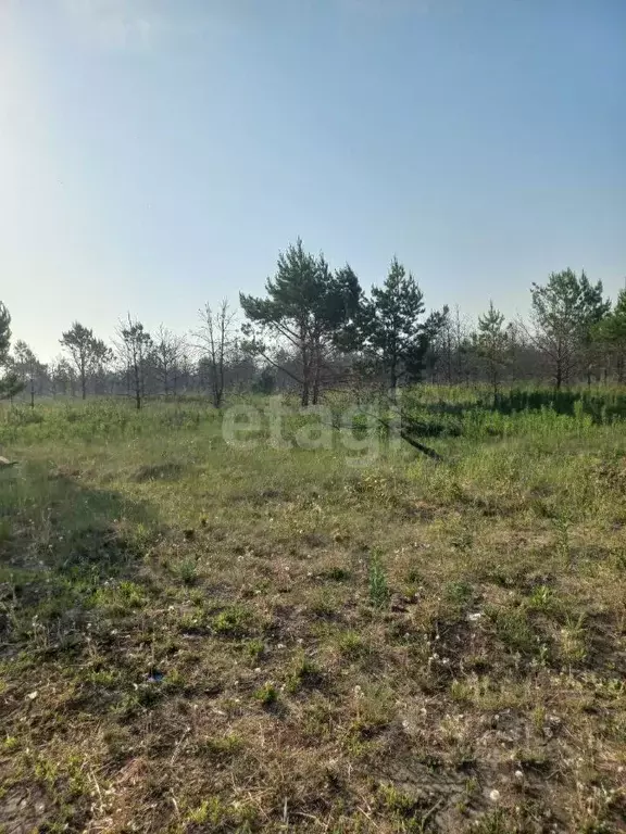 Участок в Свердловская область, Талицкий муниципальный округ, пос. ... - Фото 1