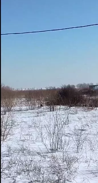 Участок в Алтайский край, Калманский район, Родин Яр ДПК ул. ... - Фото 1