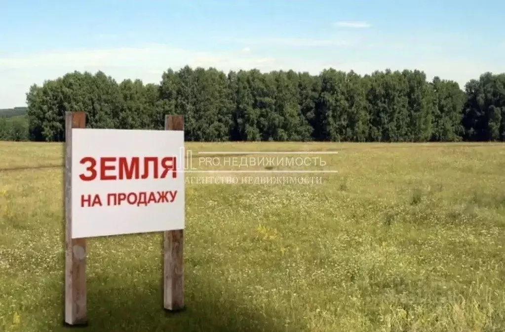 Участок в Марий Эл, Медведевский район, Азяковское с/пос, д. Шеклянур ... - Фото 1