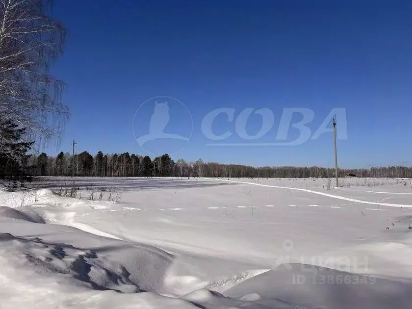 Участок в Тюменская область, Тюменский район, д. Ушакова Зеленая ул. ... - Фото 0