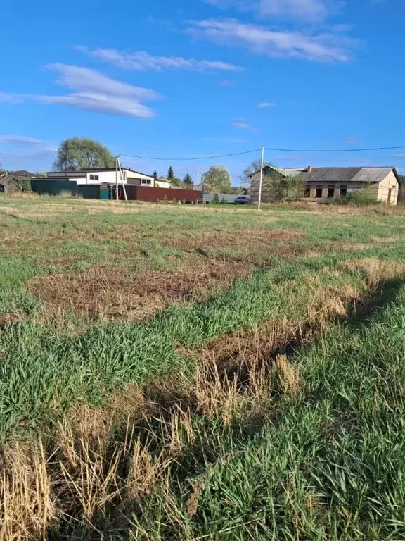 Участок в Московская область, Орехово-Зуевский городской округ, д. ... - Фото 0