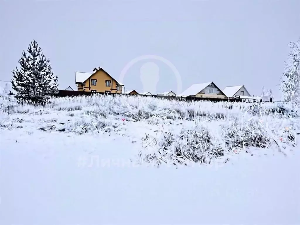 Участок в Рязанская область, Спасск-Рязанский ул. Спасская (10.0 сот.) - Фото 1