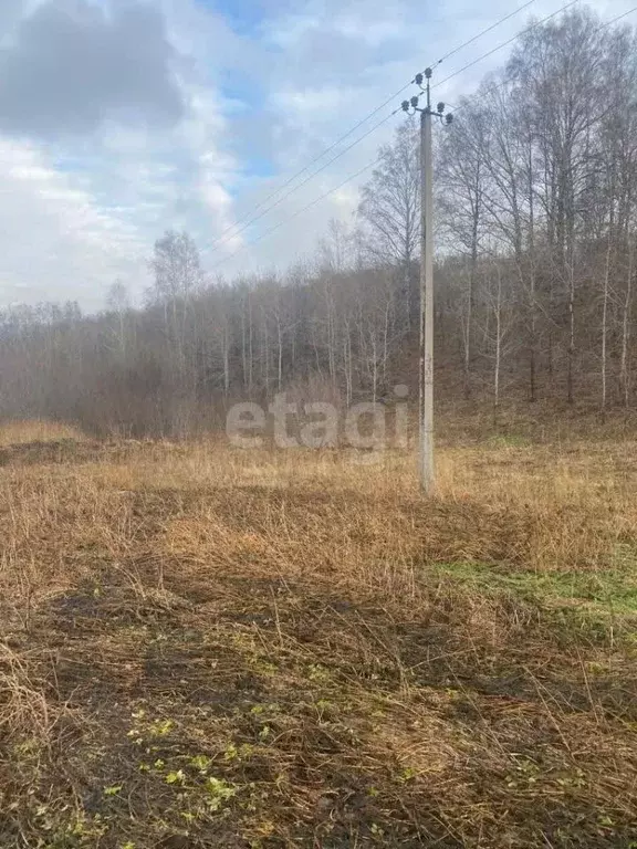 Участок в Новосибирская область, Новосибирский район, с. Раздольное  ... - Фото 0