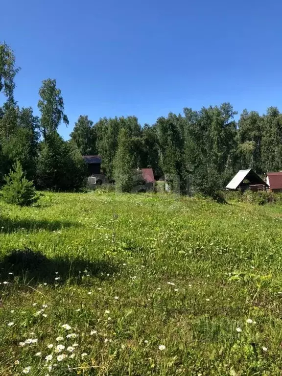 Участок в Красноярский край, Красноярск городской округ, пос. Минино, ... - Фото 1