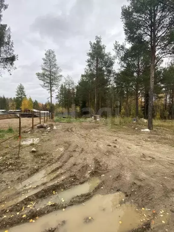Участок в Коми, Ухта Земляничная Поляна садоводческое товарищество, ... - Фото 2