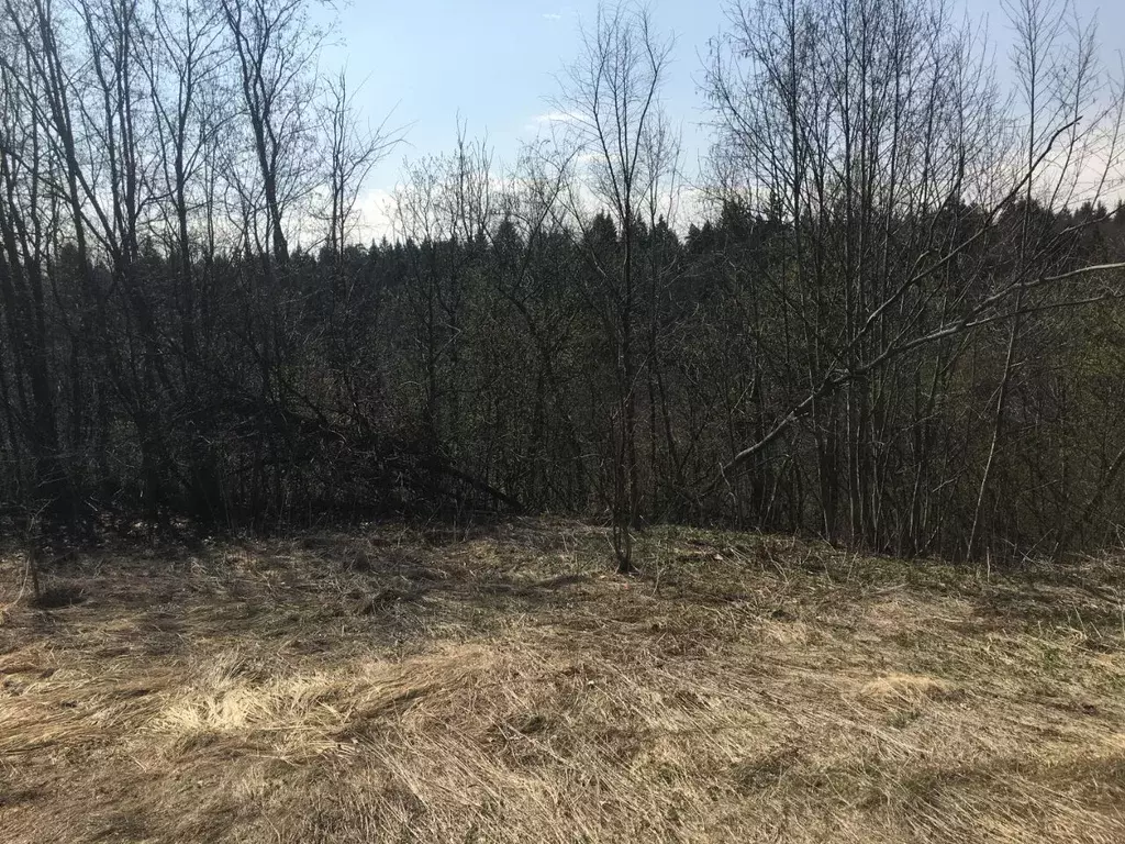 Участок в Московская область, Пушкинский городской округ, д. Васюково  ... - Фото 0