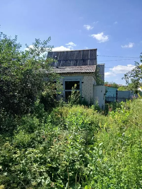 Дом в Челябинская область, Челябинск Тракторосад № 3 СНТ, дор. 58-я ... - Фото 1