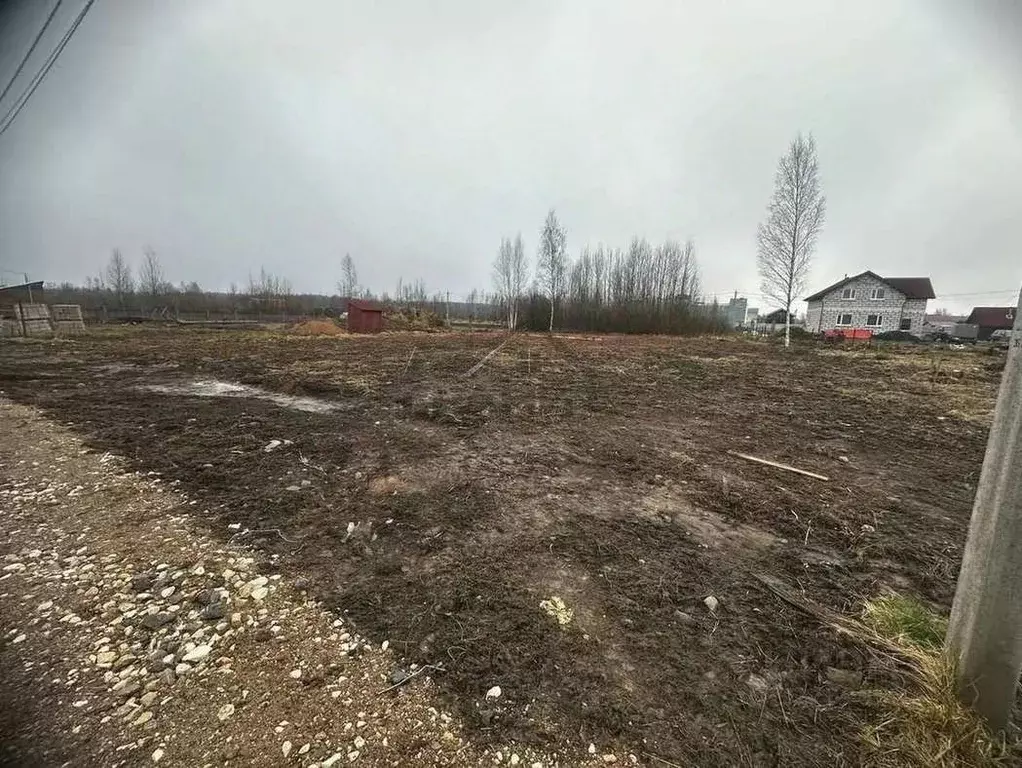 Участок в Новгородская область, Малая Вишера ул. Березовая Аллея, 12 ... - Фото 1