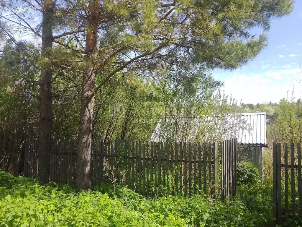 Участок в Кемеровская область, Кемерово Медик СНТ,  (6.0 сот.) - Фото 1