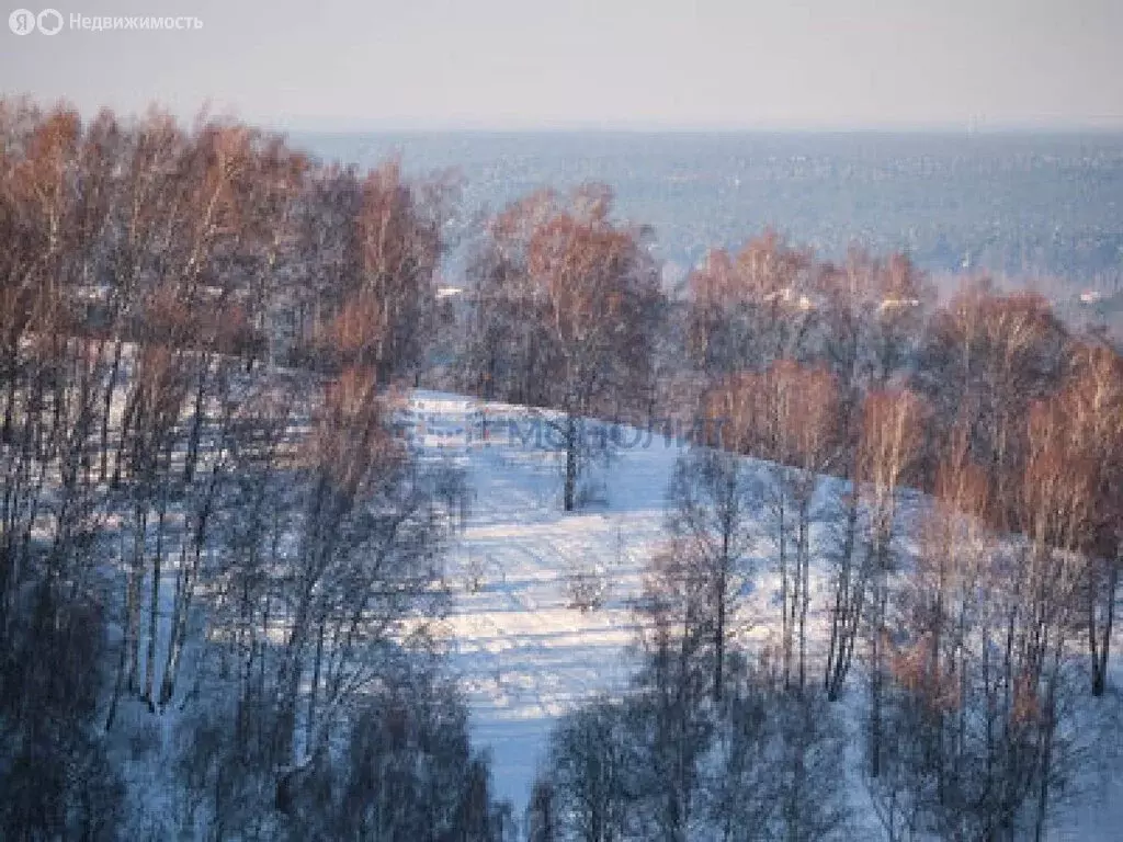 Участок в деревня Швариха, Дорожная улица (10 м) - Фото 1