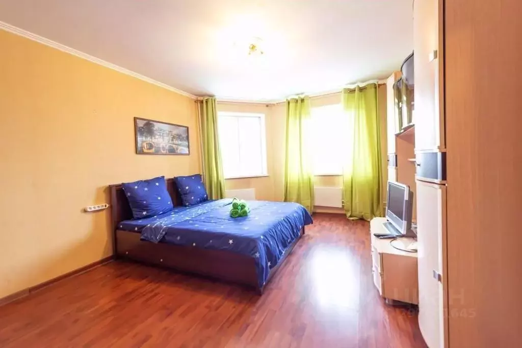 1-к кв. Московская область, Ивантеевка Пушкинский городской округ, ул. ... - Фото 1