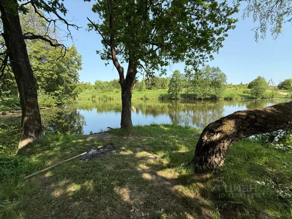 Участок в Тульская область, Заокский район, Малаховское с/пос, д. ... - Фото 1