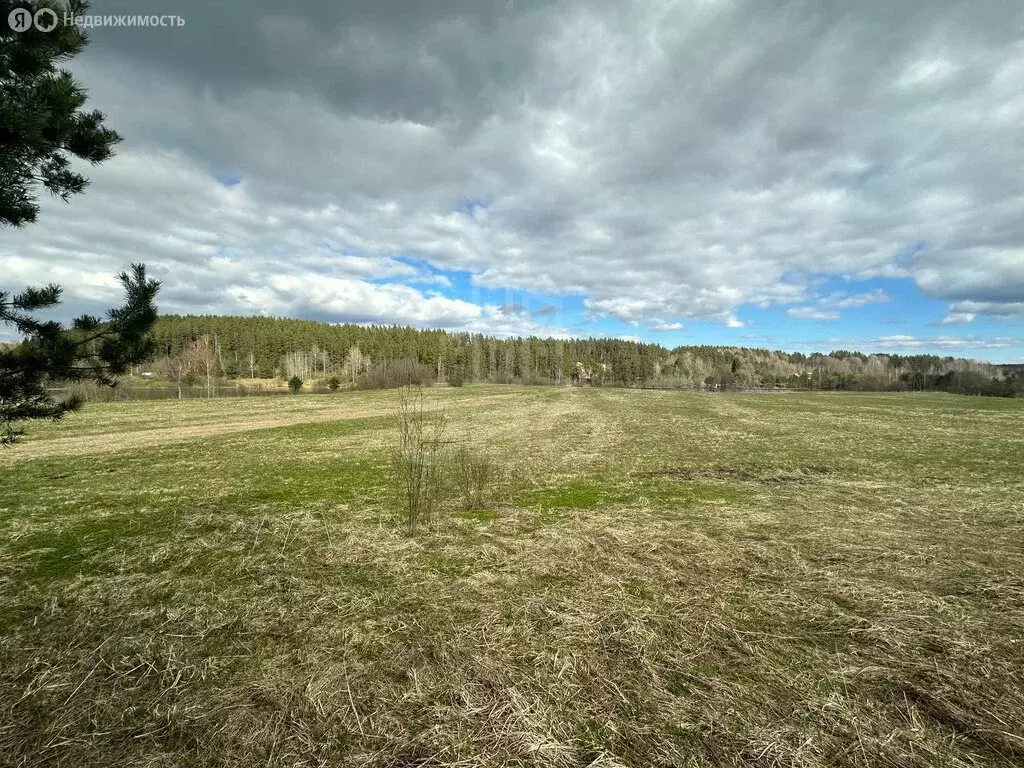Участок в Выборгский район, Каменногорское городское поселение, ... - Фото 2