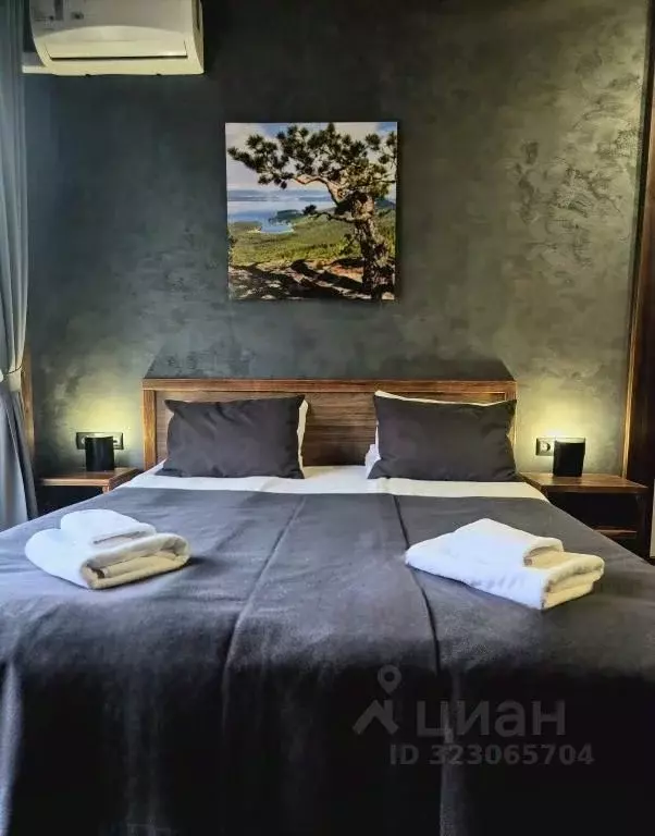 1-к кв. Челябинская область, Миасский городской округ, с. Сыростан ул. ... - Фото 2