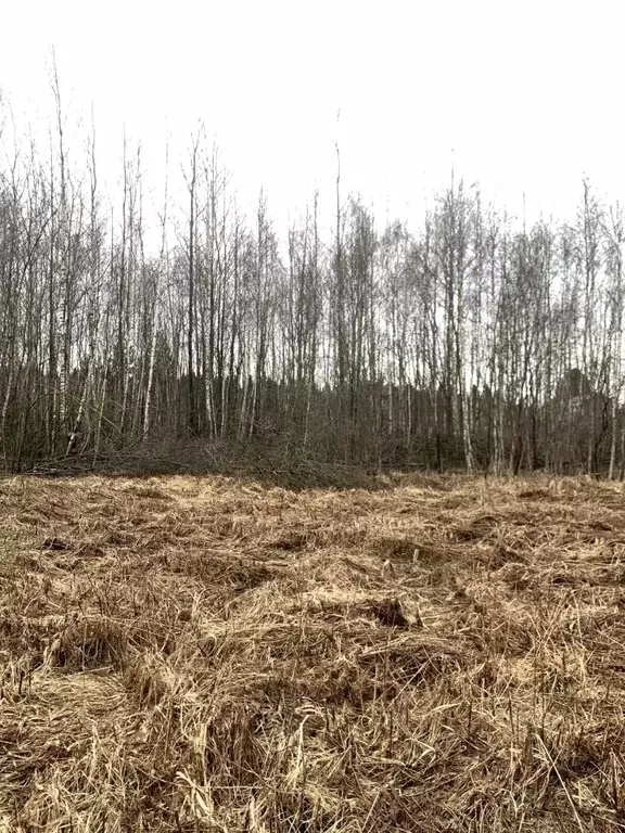 Участок в Калужская область, Малоярославецкий муниципальный округ, ... - Фото 2