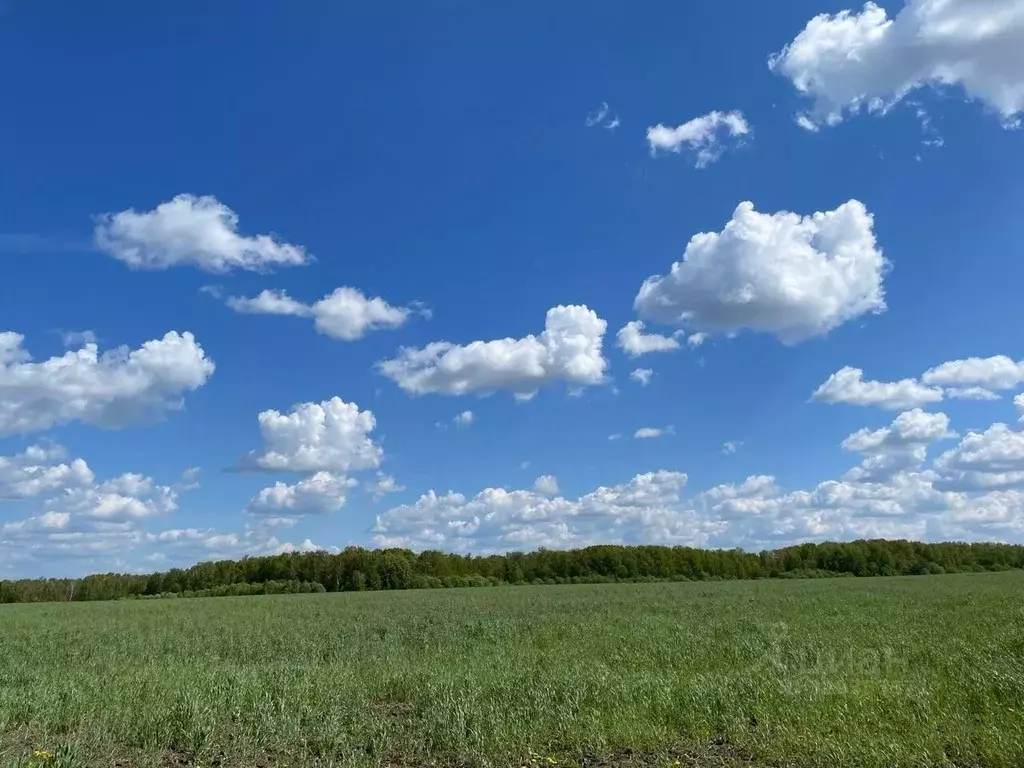 Участок в Тульская область, Алексин городской округ, с. Сотино  (11.4 ... - Фото 1