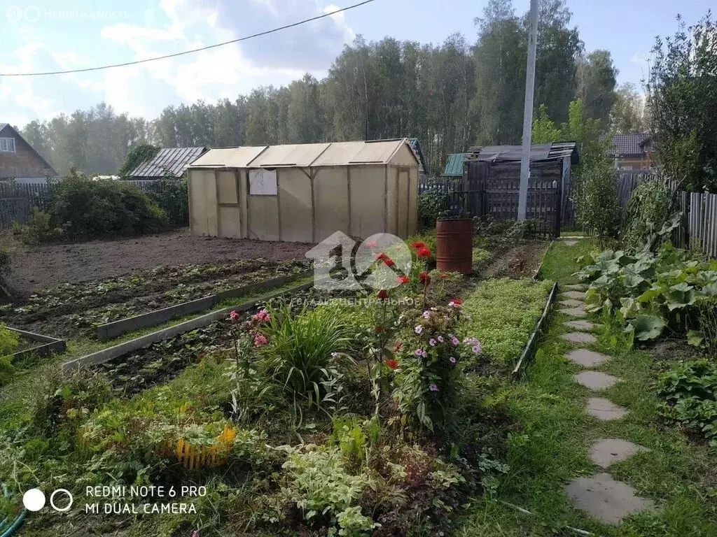 Участок в Новосибирск, СТ Заря-1, 1-й проезд (3 м) - Фото 1