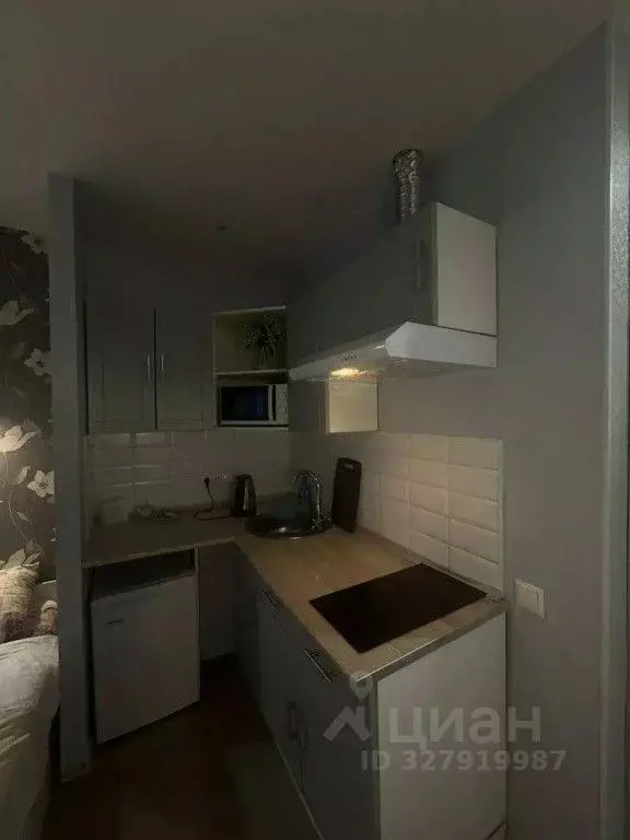 1-к кв. Москва Пятницкое ш., 11 (18.0 м) - Фото 2