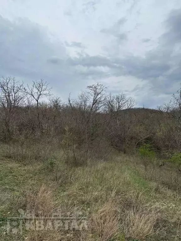 Участок в Краснодарский край, Сочи городской округ, с. Васильевка  ... - Фото 1