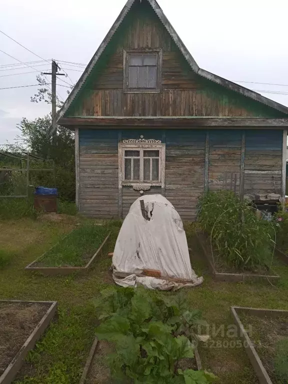Дом в Омская область, Омский район муниципальный округ, Зеленый Берег ... - Фото 1
