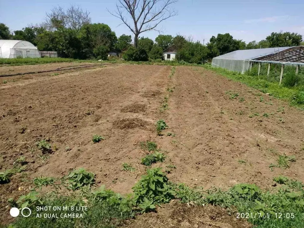 Дом в Крым, Джанкойский район, Завет-Ленинское с/пос, с. Мартыновка ... - Фото 1