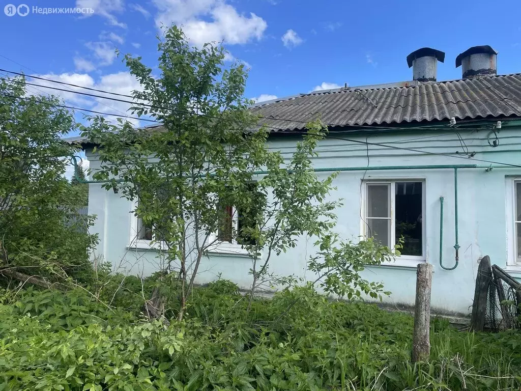 Дом в Нижегородская область, Богородский муниципальный округ, деревня ... - Фото 2