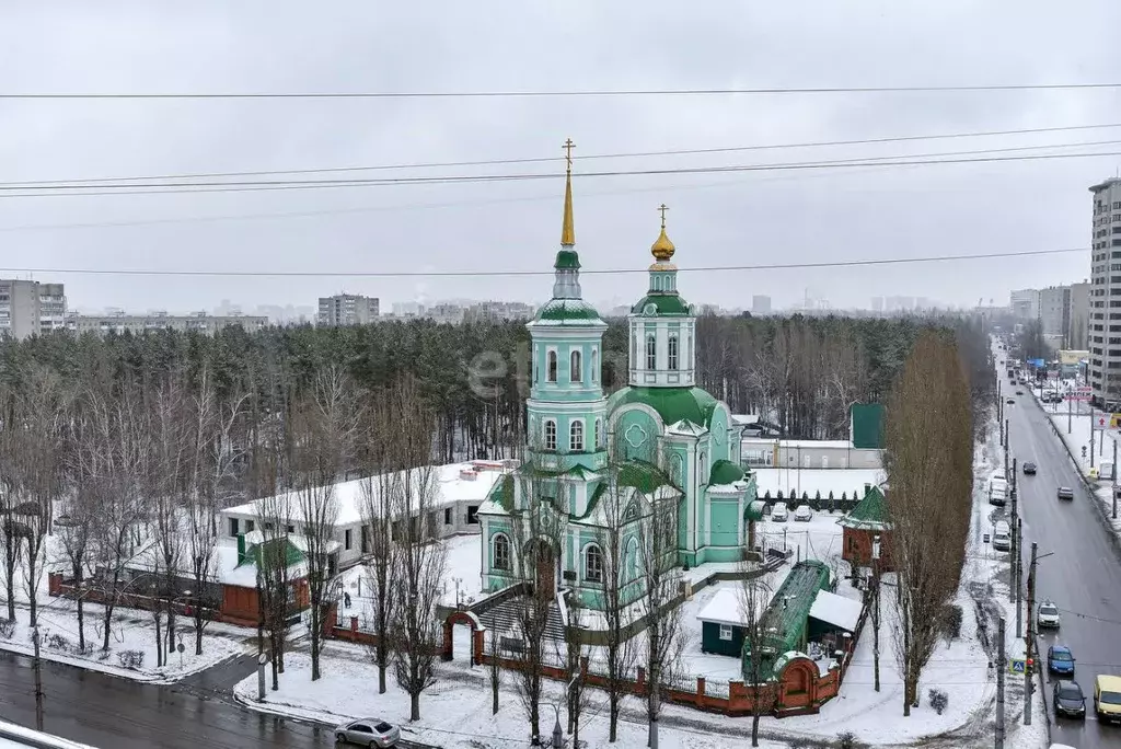 2-к кв. Воронежская область, Воронеж ул. Космонавта Комарова, 8А (73.3 ... - Фото 0
