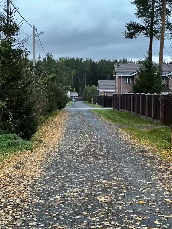 Коттедж в Ленинградская область, Сертолово Всеволожский район, ... - Фото 1