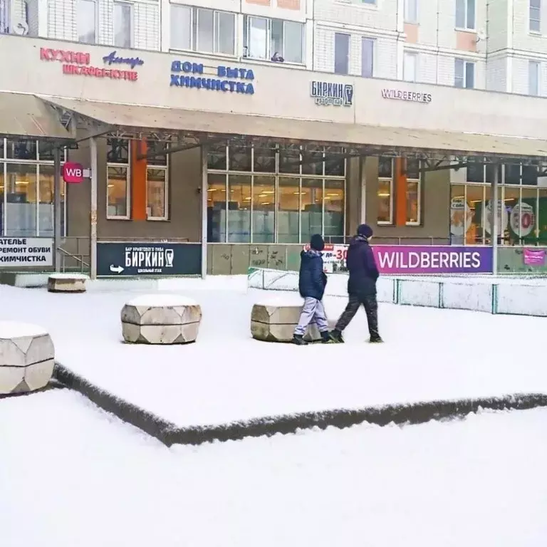 Помещение свободного назначения в Московская область, Балашиха ... - Фото 1