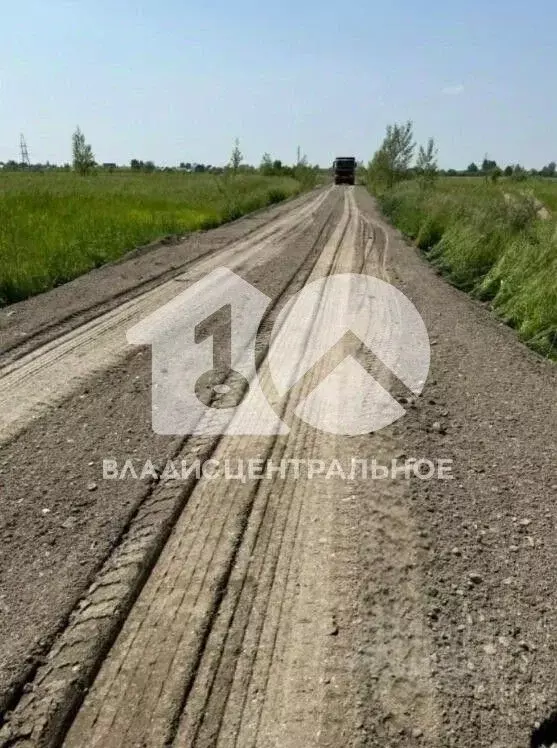 Участок в Новосибирская область, Колыванский район, Пять озер СНТ ... - Фото 1
