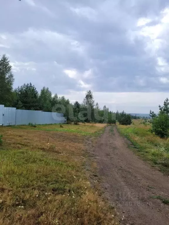 Участок в Мордовия, Кочкуровский район, с. Новая Пырма ул. Лесная ... - Фото 2