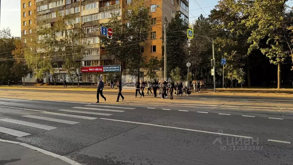 Торговая площадь в Москва Первомайская ул., 39 (74 м) - Фото 0