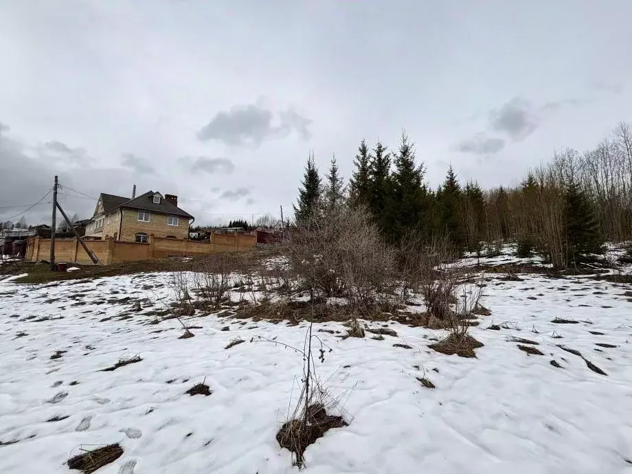 Участок в Пермский край, Березники муниципальный округ, с. Троицк ул. ... - Фото 2