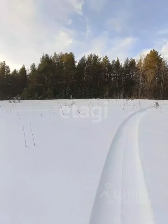 Участок в Карелия, Лоухский район, Кестеньгское с/пос, д. Коккосалма  ... - Фото 1
