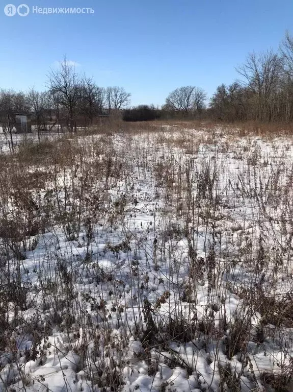 Участок в село Гвоздёвка, Садовая улица (28.4 м) - Фото 1