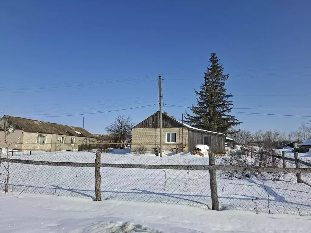 Дом в Пензенская область, Пензенский район, Саловский сельсовет, с. ... - Фото 1