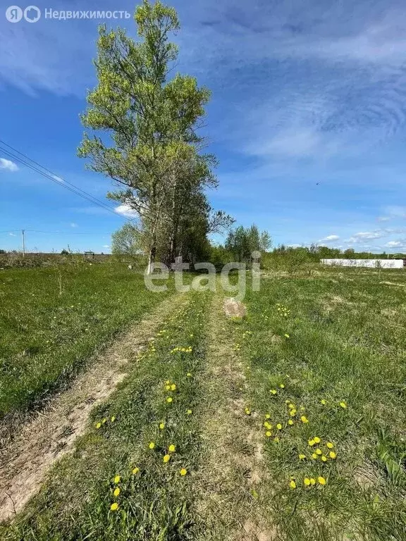 Участок в городское поселение Воротынск, СНТ Димитровец (6 м) - Фото 0